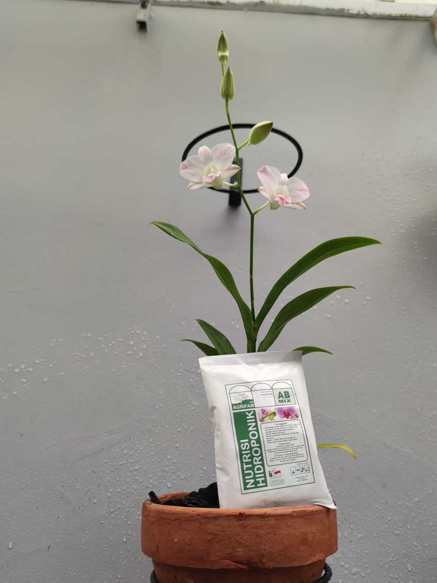 Nutrisi Hidroponik ABMIX AGRIFAM Untuk Anggrek Kemasan 500ml