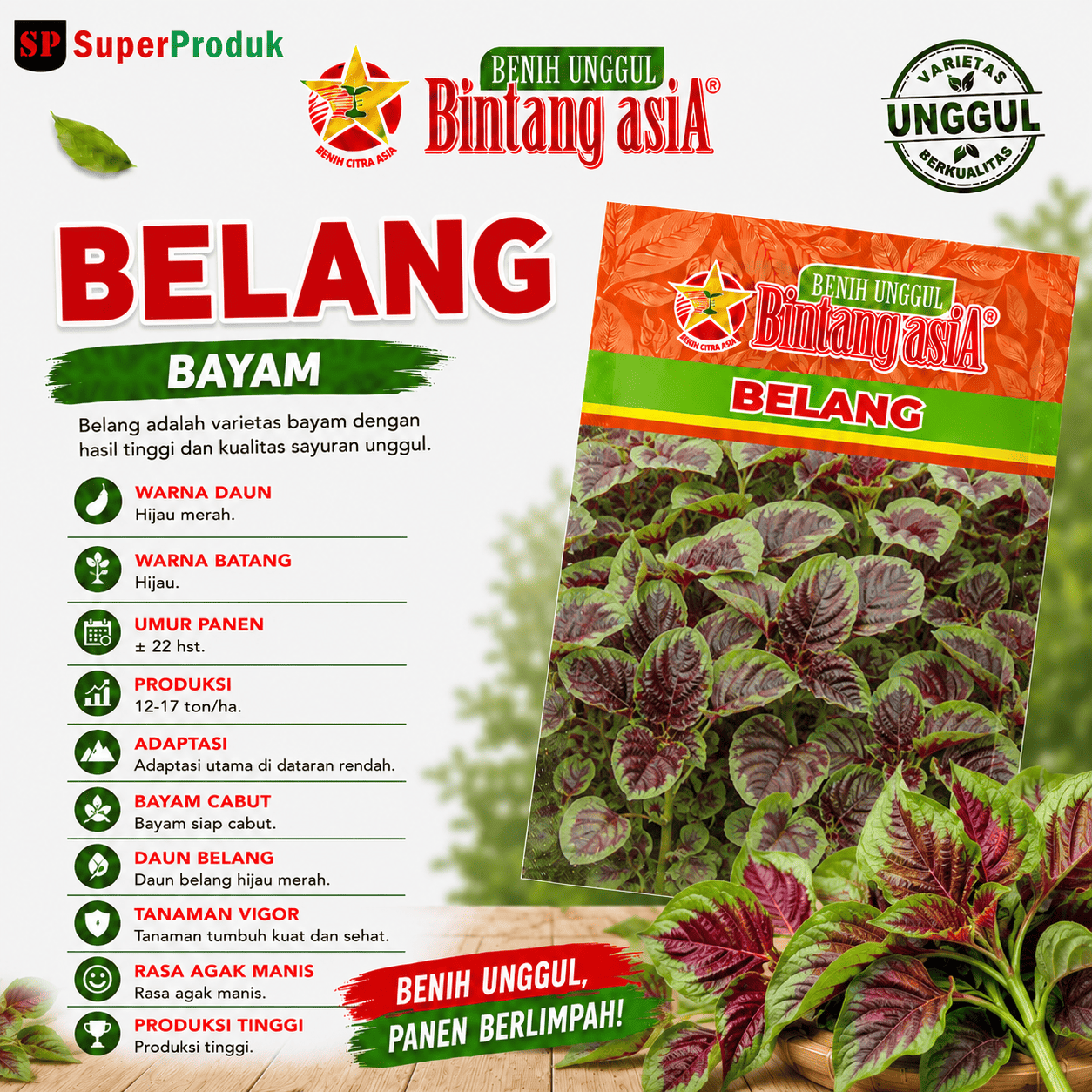 Benih Belang