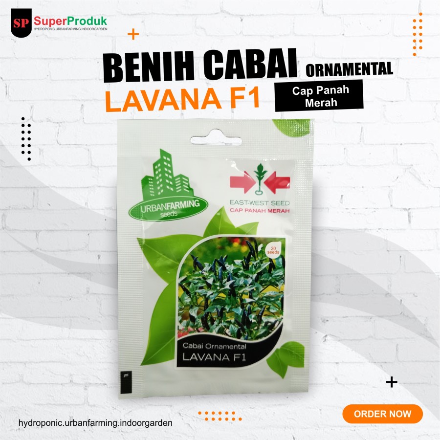 Benih Cabai Ornamental LAVANA F1