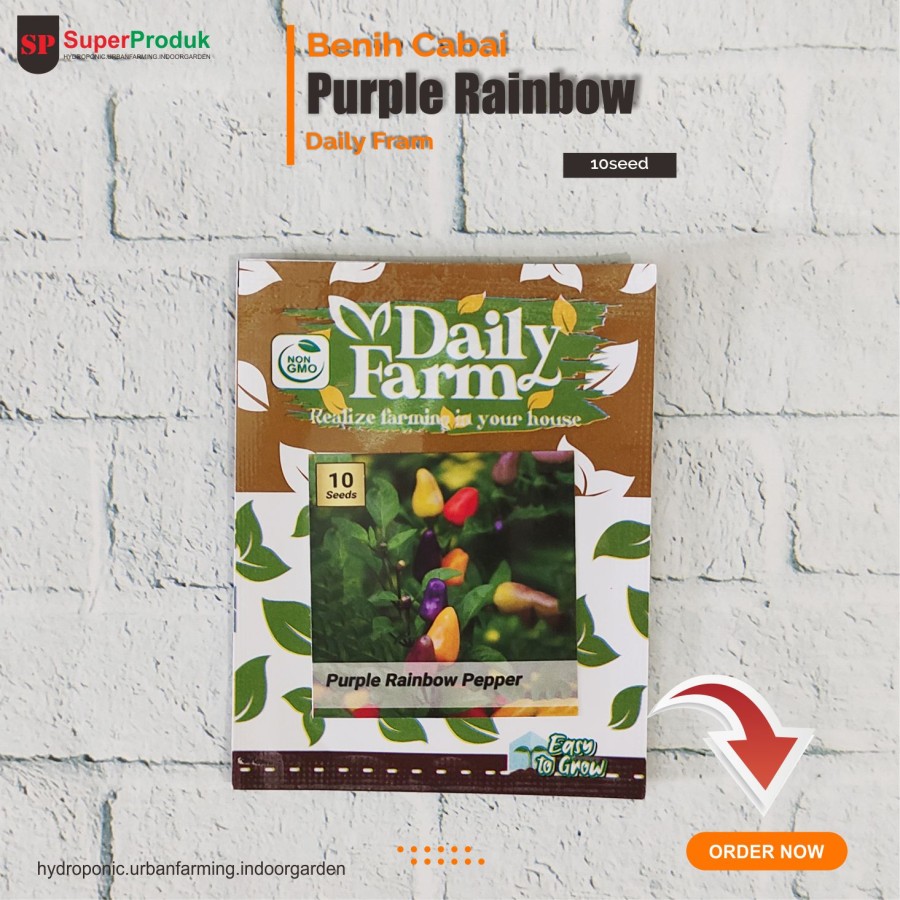 Benih Cabai Purple Rainbow