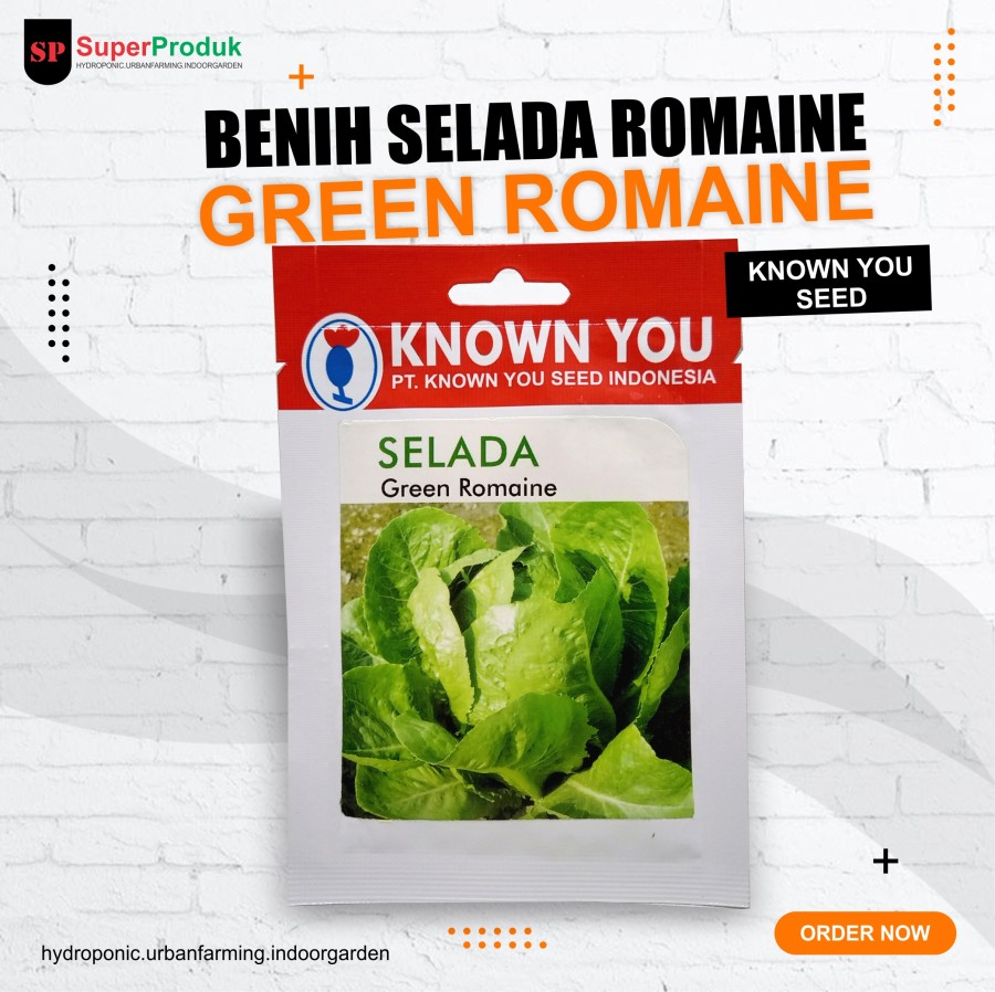 Benih KnownYou Selada-Green Romaine SuperProduk
