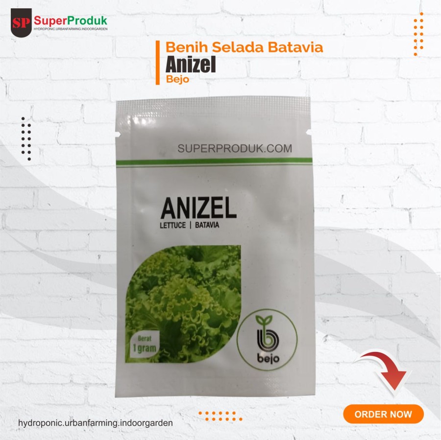Benih Selada Batavia Bejo Anizel 1gr