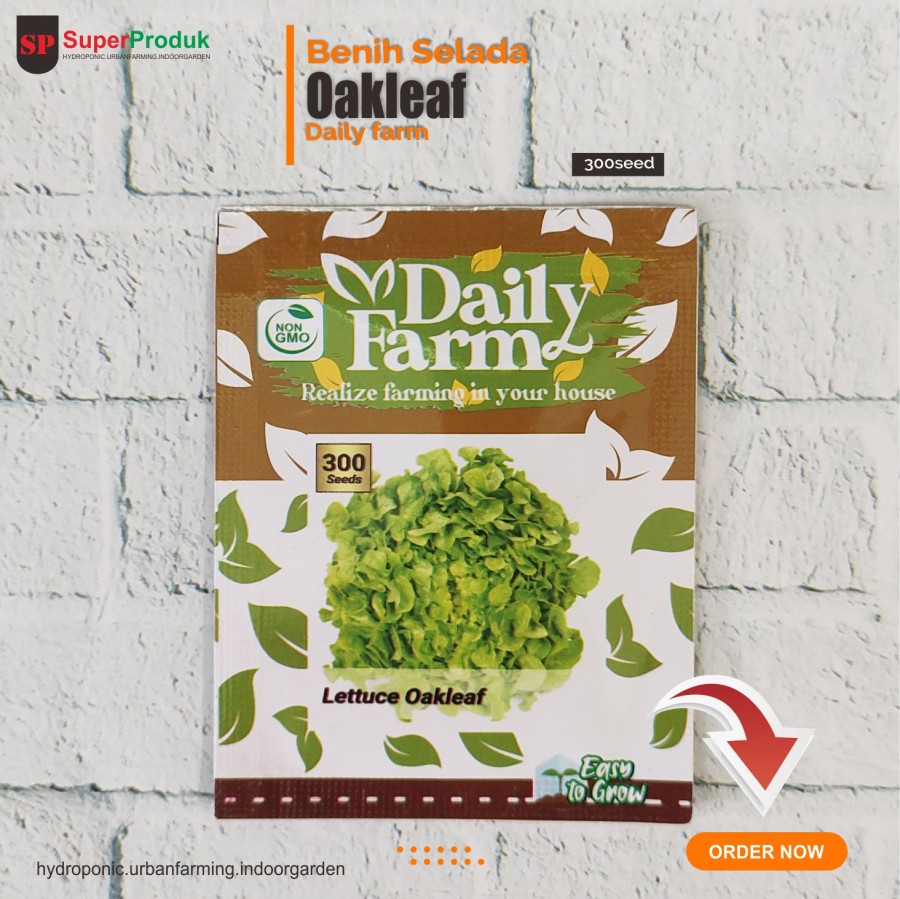 Benih Selada Green Oakleaf Daily farm