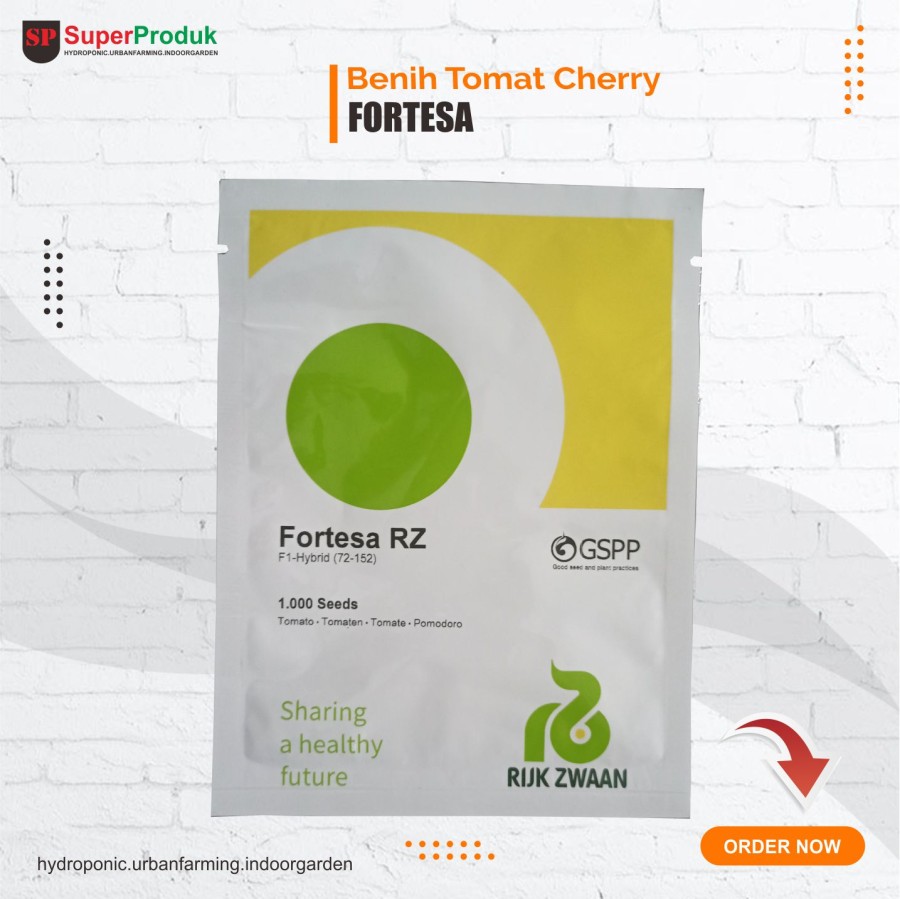 Benih Tomat Cherry Fortesa RZ Rijk Zwaan Isi 1000seed