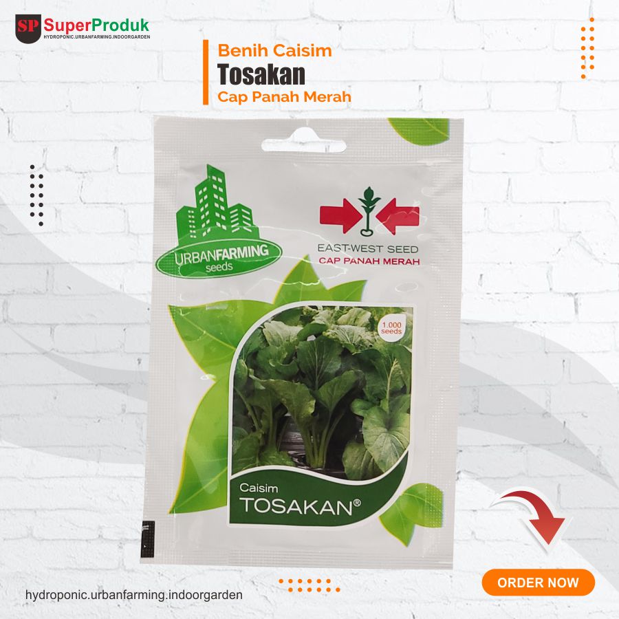 Benih Caisim Tosakan Cap Panah Merah