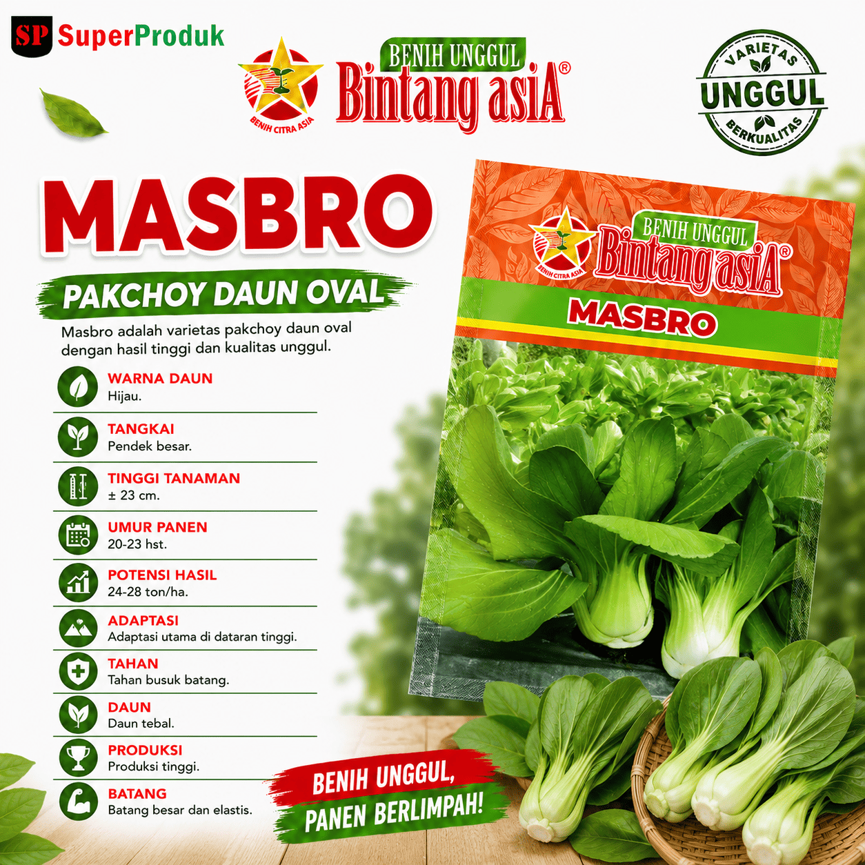 Benih Masbro