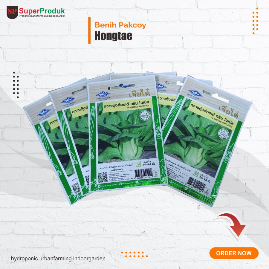 Benih Pakcoy Hongtae