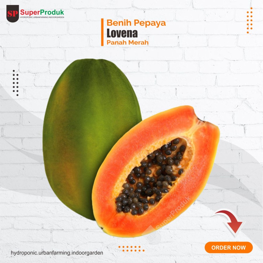 Benih Pepaya Lovena F1 Panah Merah