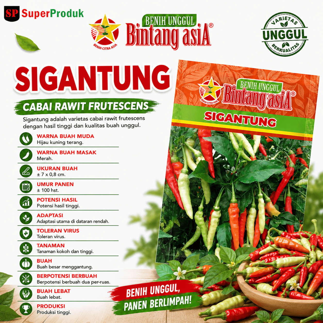 Benih Sigantung
