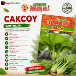Benih Cakcoy