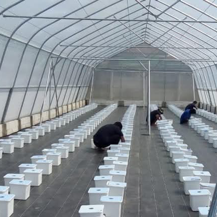 Weedmat Lebar 4m x 100m 1roll - Ground Cover